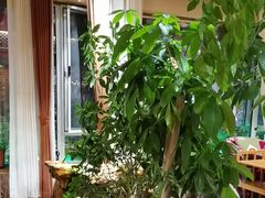 -慢丽江·云南野生菌土鸡锅(付家庄店)