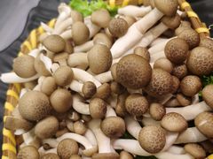 海鲜菇-湊湊火锅·茶憩(打浦桥日月光店)