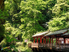 -碧峰峡风景区
