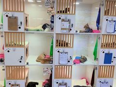 -李小姐の猫咖啡馆(五角场店)