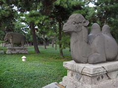 -北陵公园
