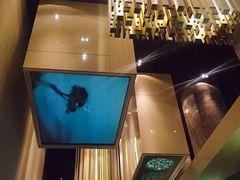 -深圳湾木棉花酒店