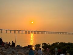 -宝安西湾红树林湿地公园