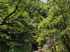 -石台牯牛降景区