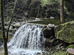 -牛背梁国家森林公园