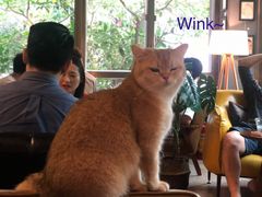 -咖法森林·咖啡  酒吧(天河店)