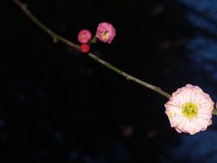 -西南政法大学(渝北校区)