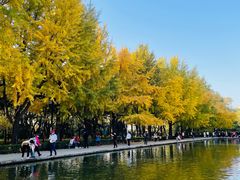 -玲珑塔公园
