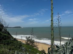 -漳州滨海火山岛自然生态风景区