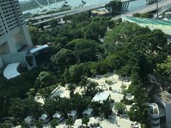 -新加坡文华东方酒店