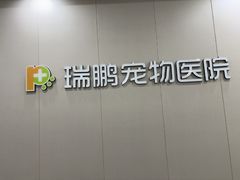 -瑞鹏宠物医院·骨外科·心肾科·肿瘤科(九亭店)