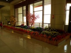 -丽江三义国际机场