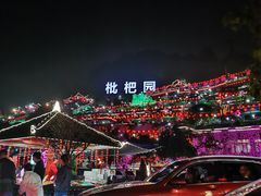 -枇杷园食为鲜火锅(南山店)
