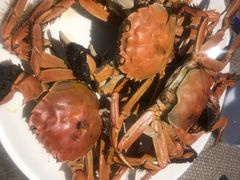 -青岛蓝海大饭店·爱琴海自助餐厅(崂山店)