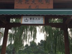 -白洋淀景区