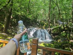 -牛背梁国家森林公园