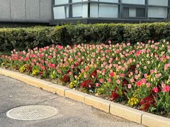 -杭州师范大学(下沙校区)