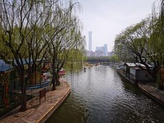 -团结湖公园