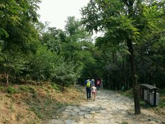 -阳台山自然风景区