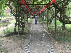 -莫里热带雨林景区