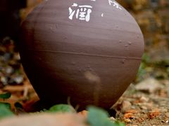 -远山有窑