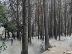 -东湖落雁景区