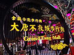 -大雁塔北广场音乐喷泉