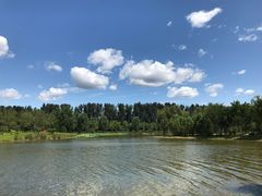 -东郊湿地公园