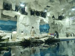 -华夏文旅海洋公园