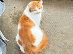 -万泊酒店(长沙五一广场国金中心店)