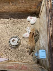 -酷嗒动物文化乐园(cutezoo西溪乐天城店)