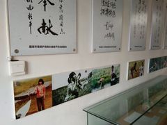 -盐城丹顶鹤湿地生态旅游区