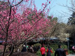 -秀丽东方