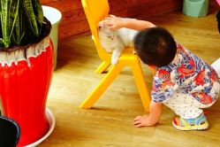 -萌宠亲子动物乐园(槐房万达店)