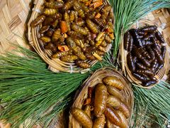 -昆虫窝子·特色云南菜(拓东路总店)