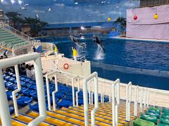 -泉城欧乐堡海洋极地世界