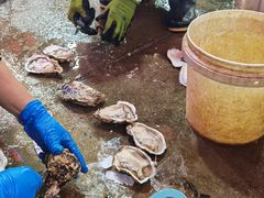 -上海龙吴水胜海发市场