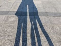 -华东政法大学(松江校区)