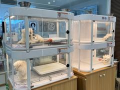 -翊宠yipet猫狗购宠庄园犬舍•猫舍