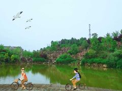 -铁山坪森林公园