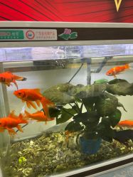 -源素美容养生会所