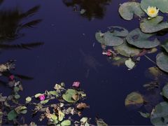 -马洛雷勒花园