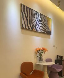 -FUMEIHUI·科技美肤·美体SPA