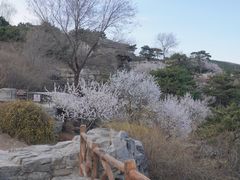 -北京西山国家森林公园