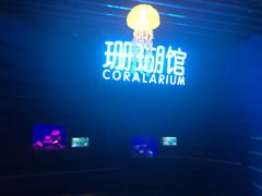 -石家庄海洋公园