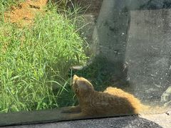 -杭州野生动物世界