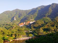 -深圳仙湖植物园