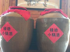 -山大王菌莊
