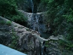 -清溪森林公园