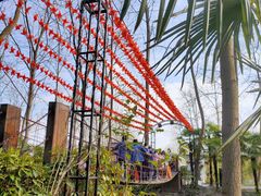 -合肥滨湖国家森林公园